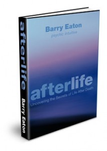 Afterlife The Book